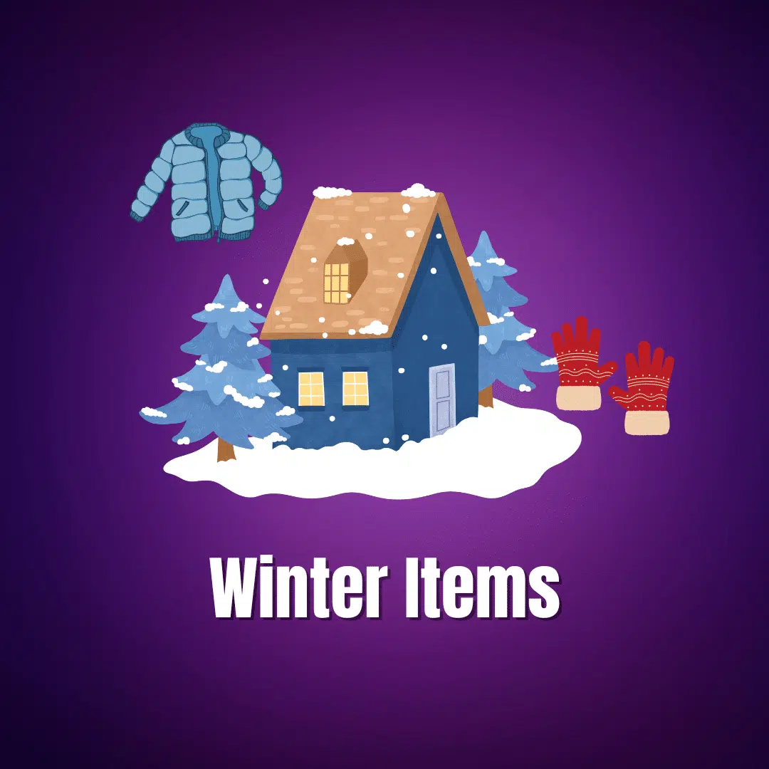 Winter Items